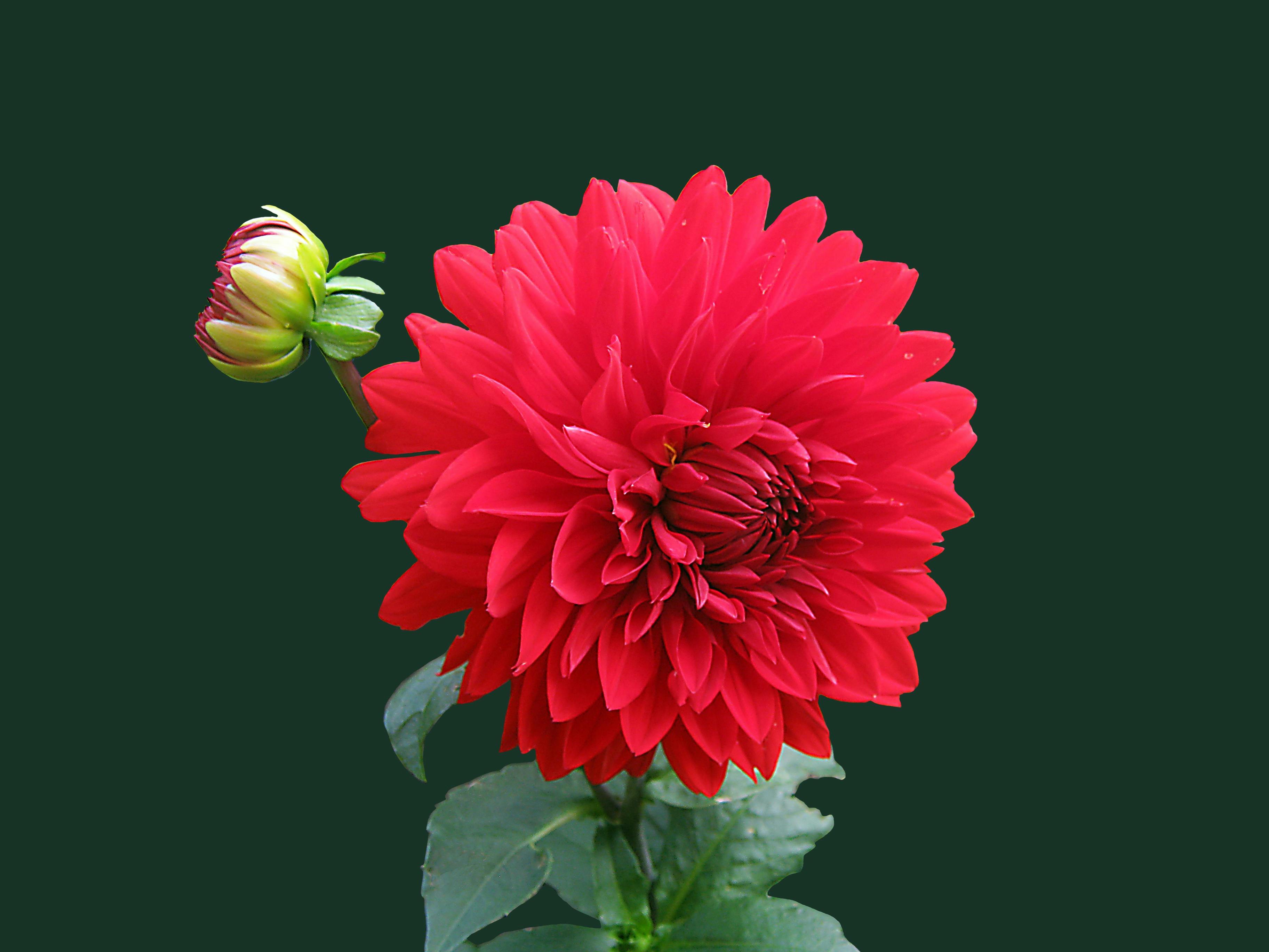 TESTTEST
