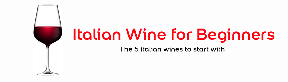 Italian wines for beginners